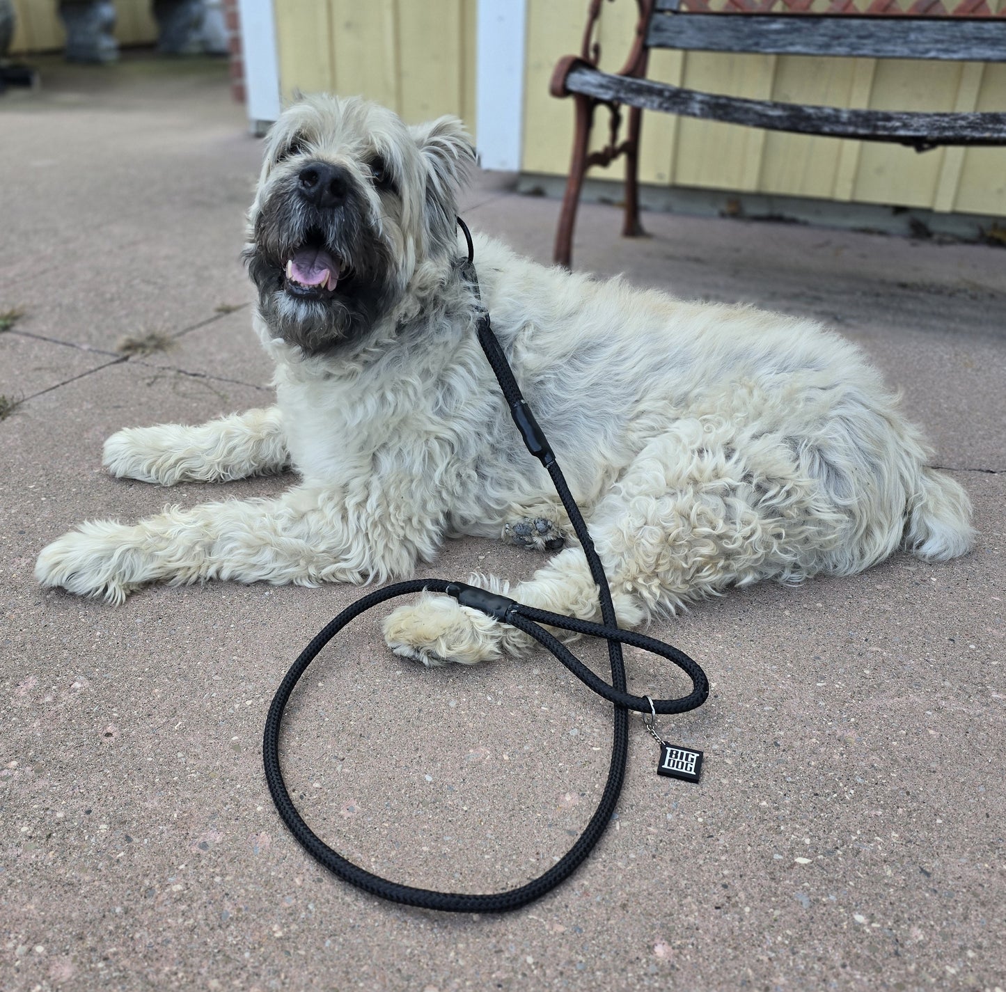 Ruff Rope 5' Leash - Black