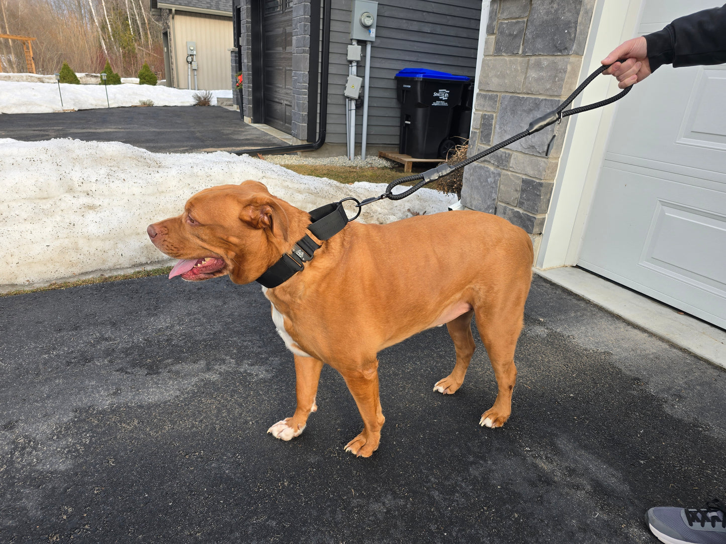 Ruff Rope 2.5' Leash - Black