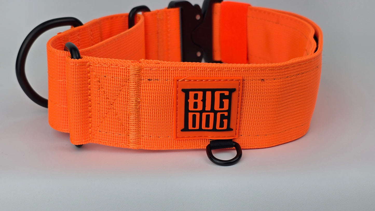 Neon orange 2 inch heavy duty martingale style dog collar with black hardware with The Big Dog Collar logo.