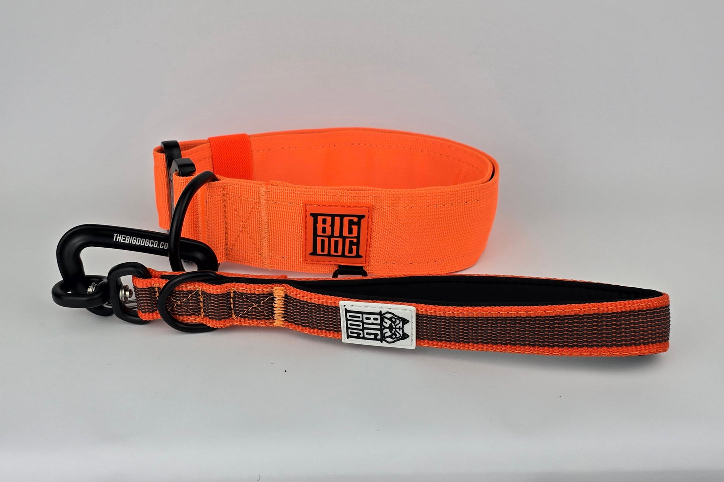 Orange and black dog traffic handle with The Big Dog Company logo on a white background. Heavy duty. Nylon, rubber, neoprene. with 2 inch heavy duty dog collar