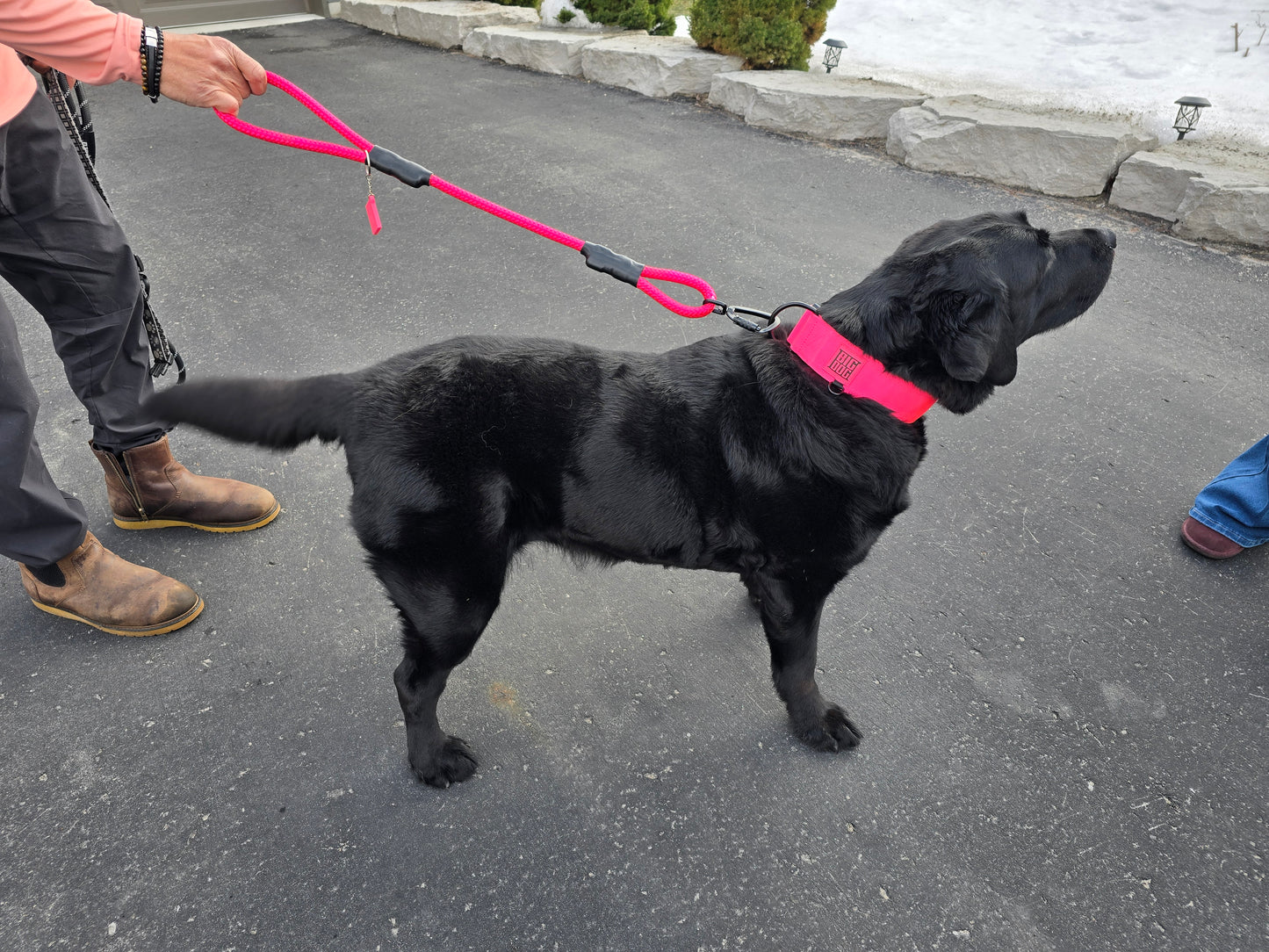 Ruff Rope 2.5' Leash - Pink