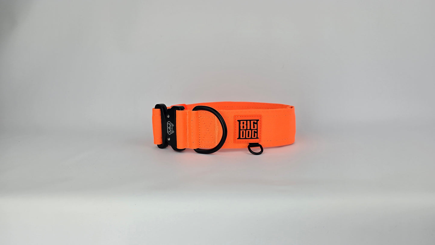 2" Big Dog Collar - Hunter Orange