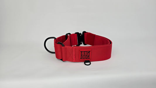 2"  Martingale Collar - Red