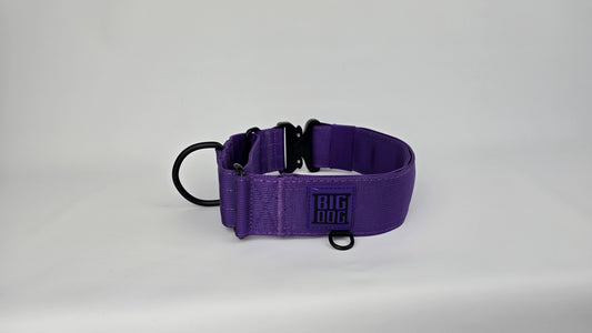 2" Martingale Collar - Purple