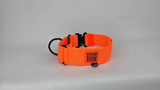 2" Martingale Collar - Hunter Orange