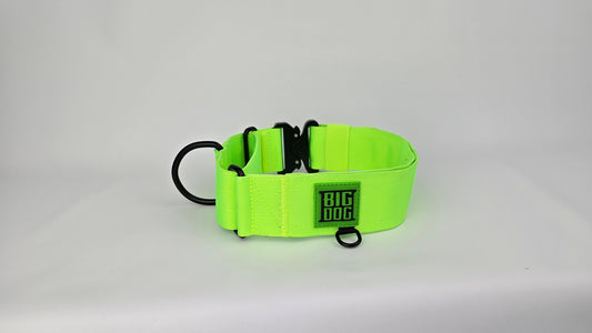 2" Martingale Collar - Neon Green