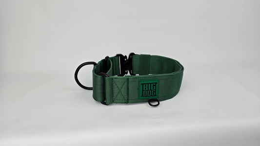 2" Martingale Collar - Forest Green