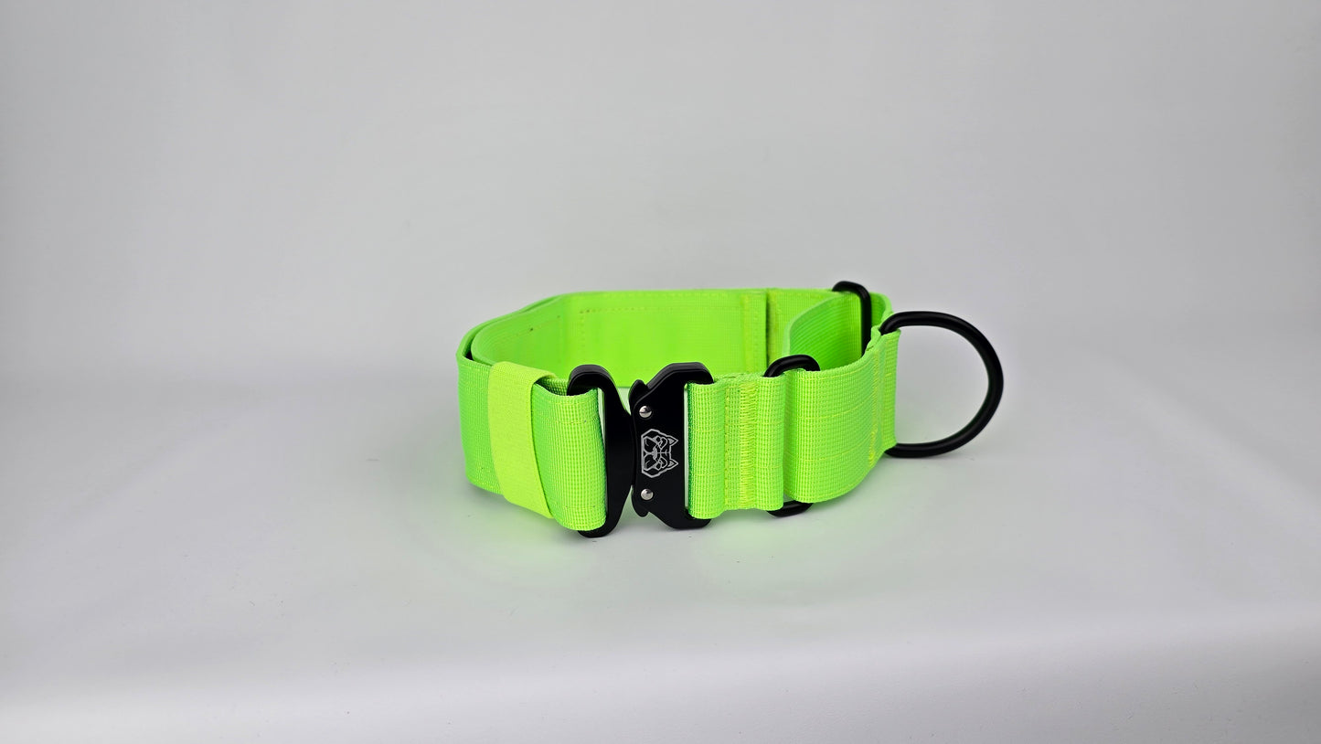 2" Martingale Collar - Neon Green