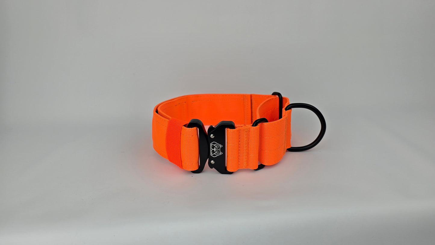 2" Martingale Collar - Hunter Orange