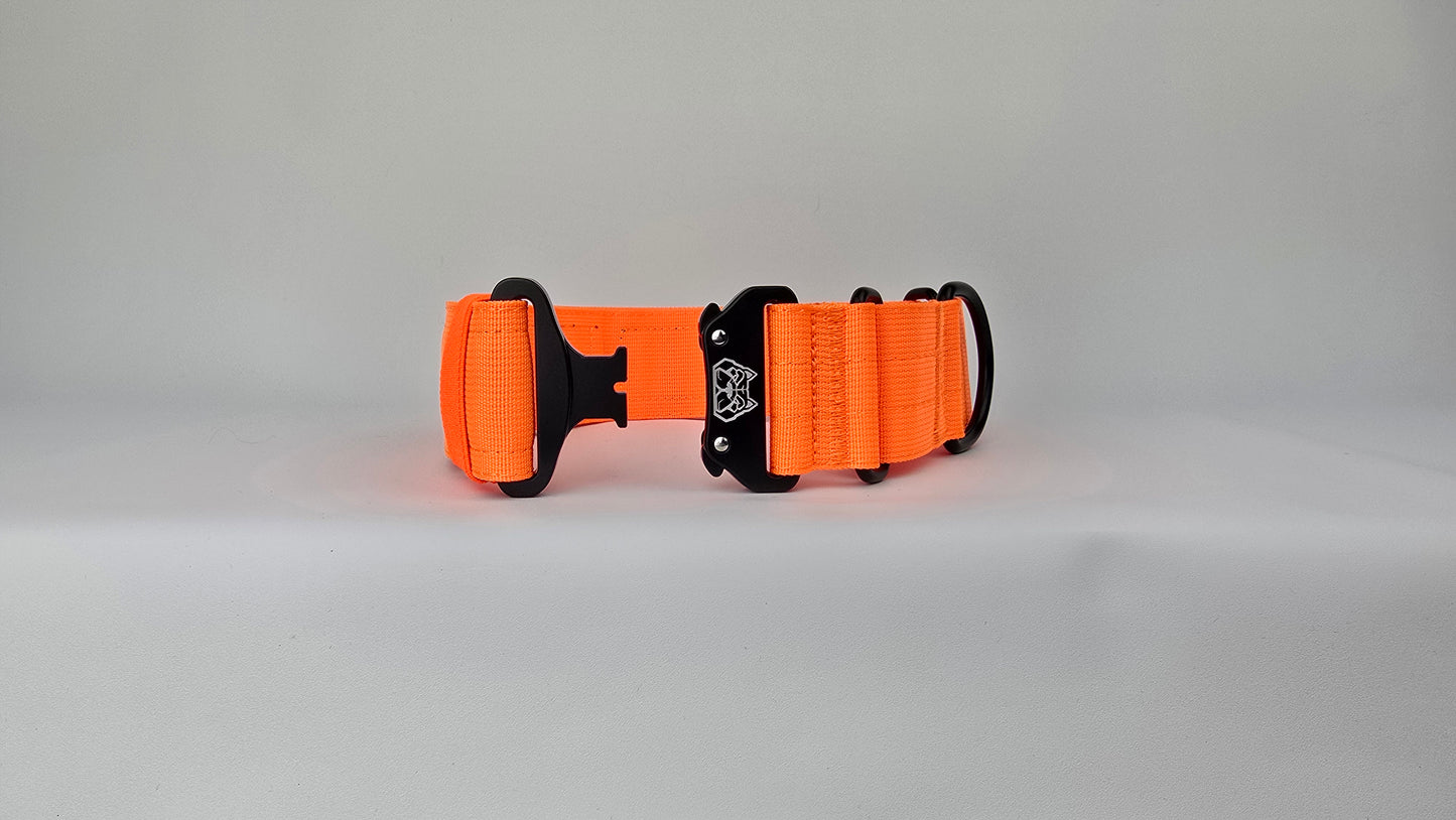 2" Martingale Collar - Hunter Orange