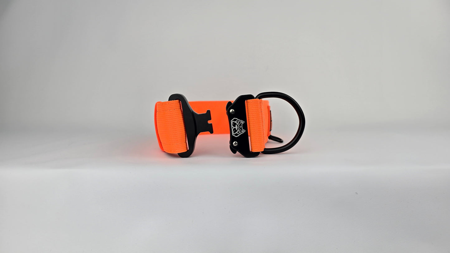 2" Big Dog Collar - Hunter Orange