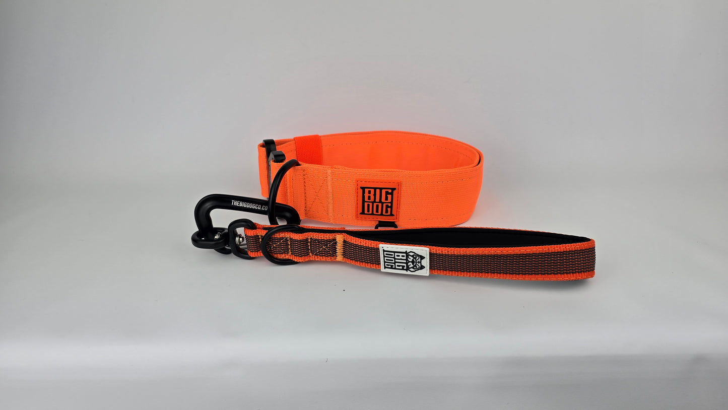 2" Big Dog Collar - Hunter Orange
