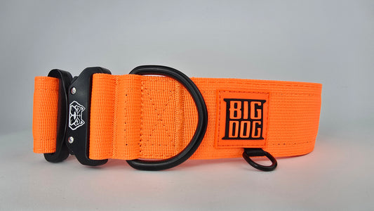 2" Big Dog Collar - Hunter Orange