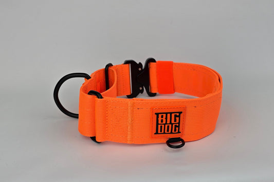 Neon orange 2 inch heavy duty martingale style dog collar with black hardware with The Big Dog Collar logo.
