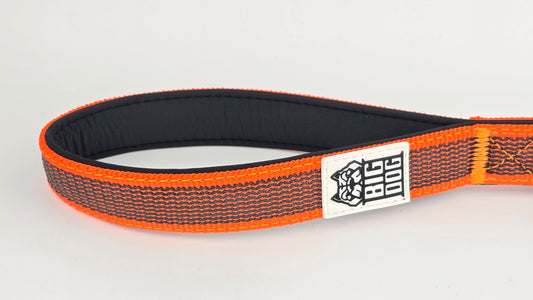 Orange and black dog traffic handle with The Big Dog Company logo on a white background. Heavy duty. Nylon, rubber, neoprene.