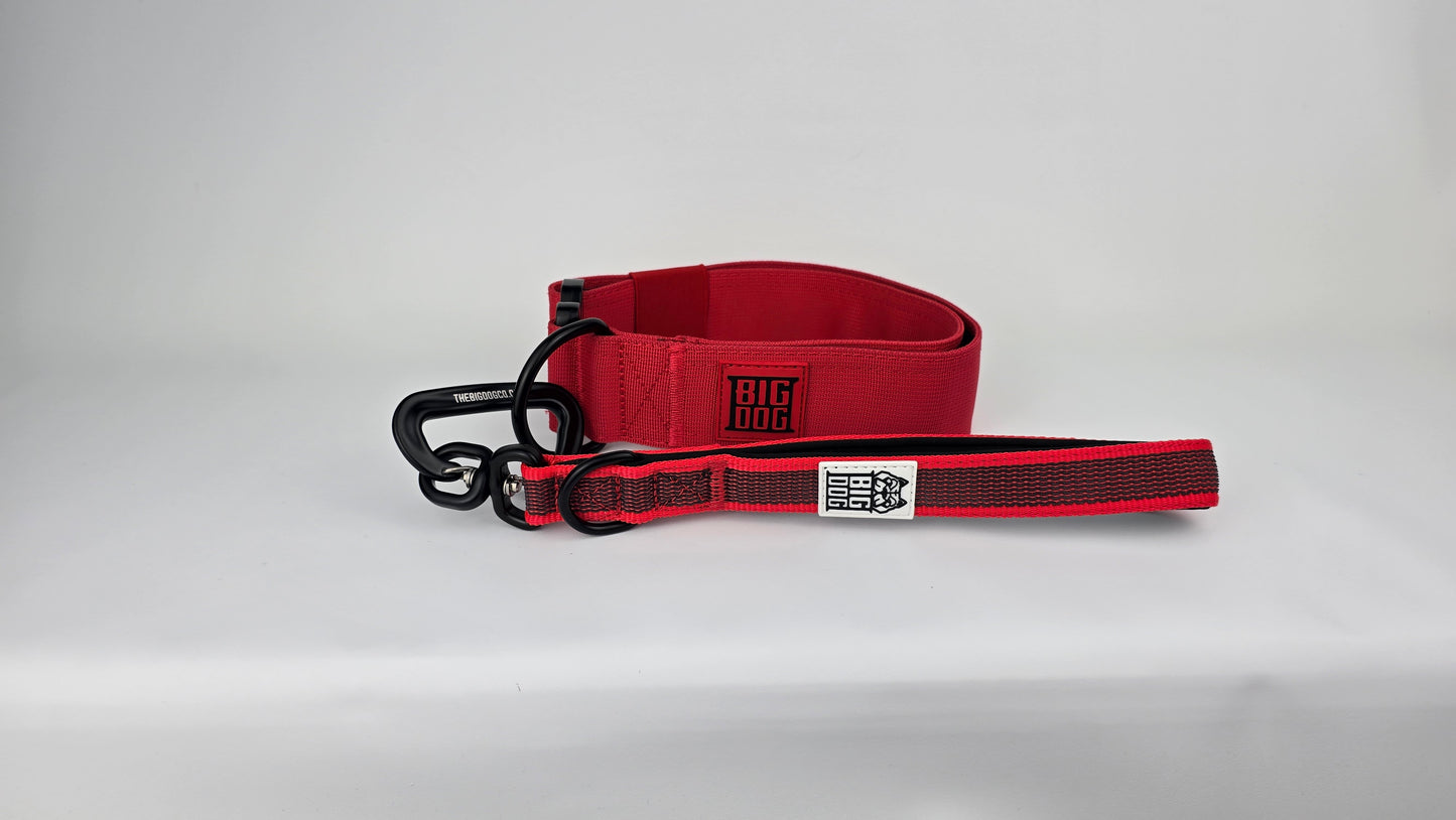 Red and black dog handle with a The Big Dog Company logo. Neoprene, rubber, nylon. Heavy duty, high quality. With Red Heavy duty 2 inch dog collar. 