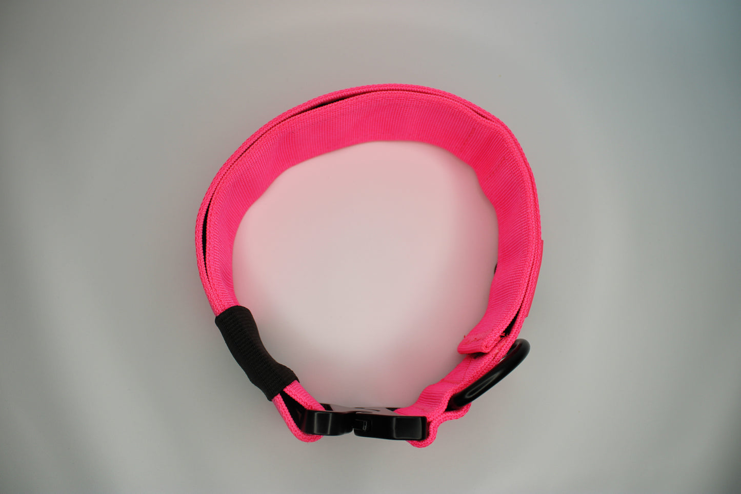 2" Big Dog Collar - Pink