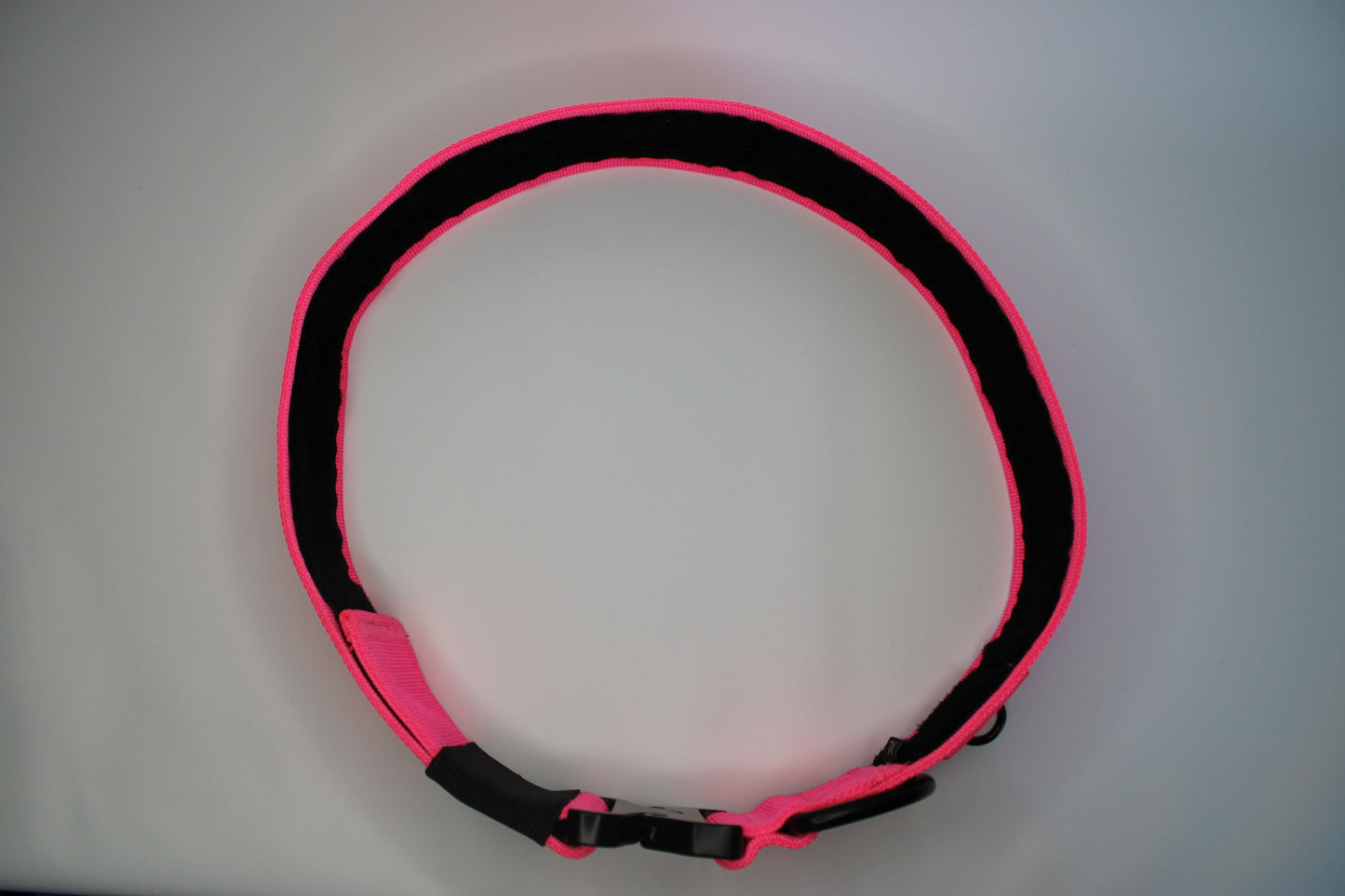 2" Big Dog Collar - Pink