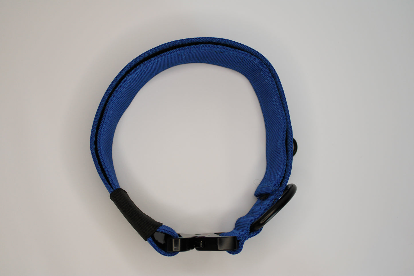 2" Big Dog Collar - Blue