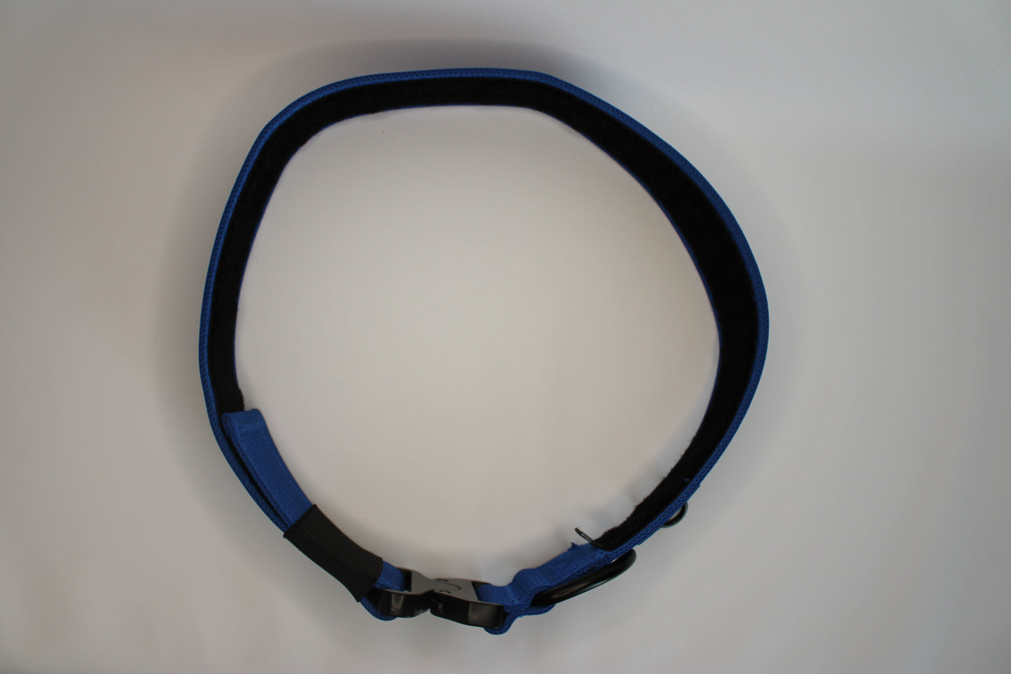 2" Big Dog Collar - Blue