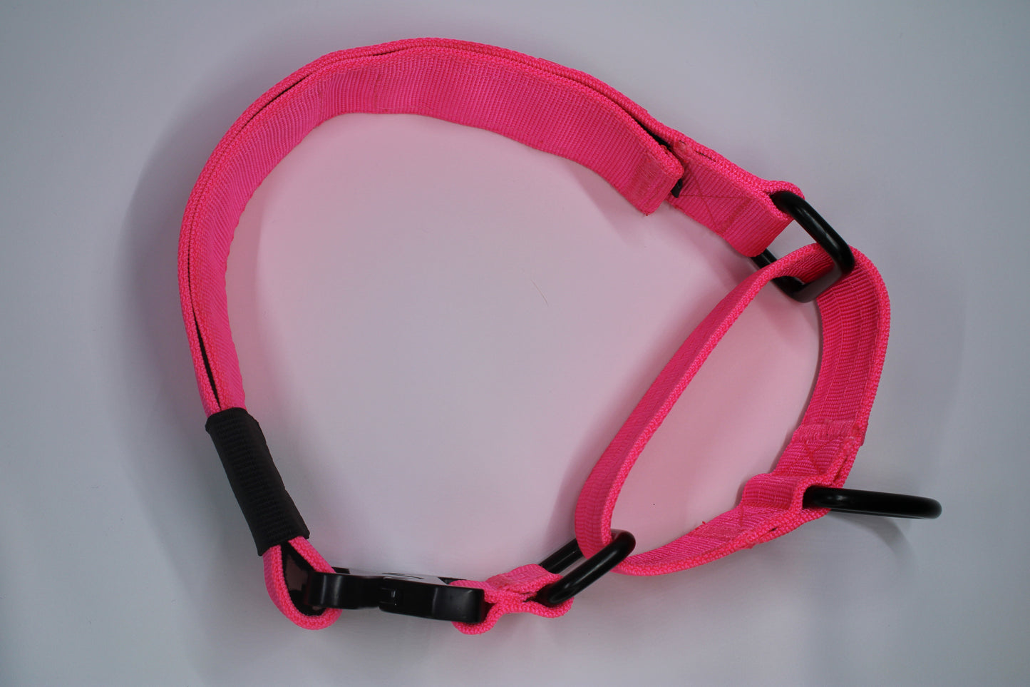 2" Martingale Collar - Pink