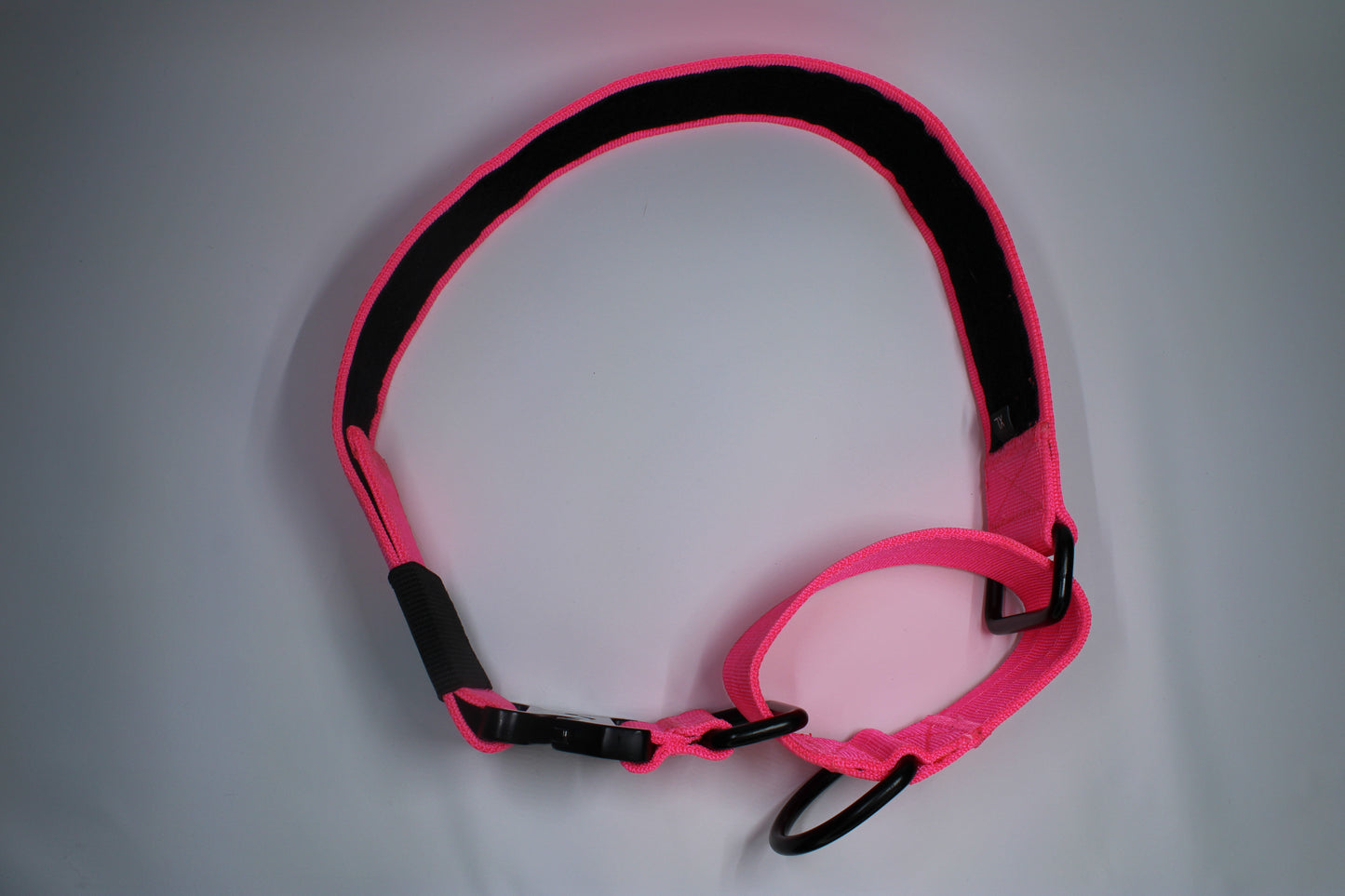 2" Martingale Collar - Pink