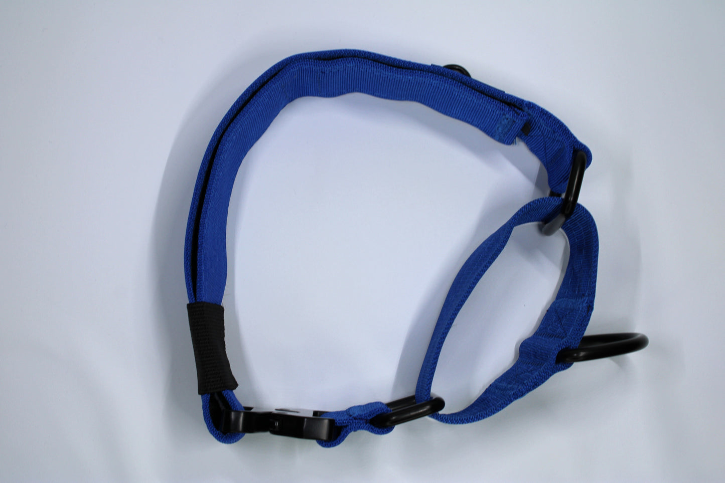 2" Martingale Collar - Blue