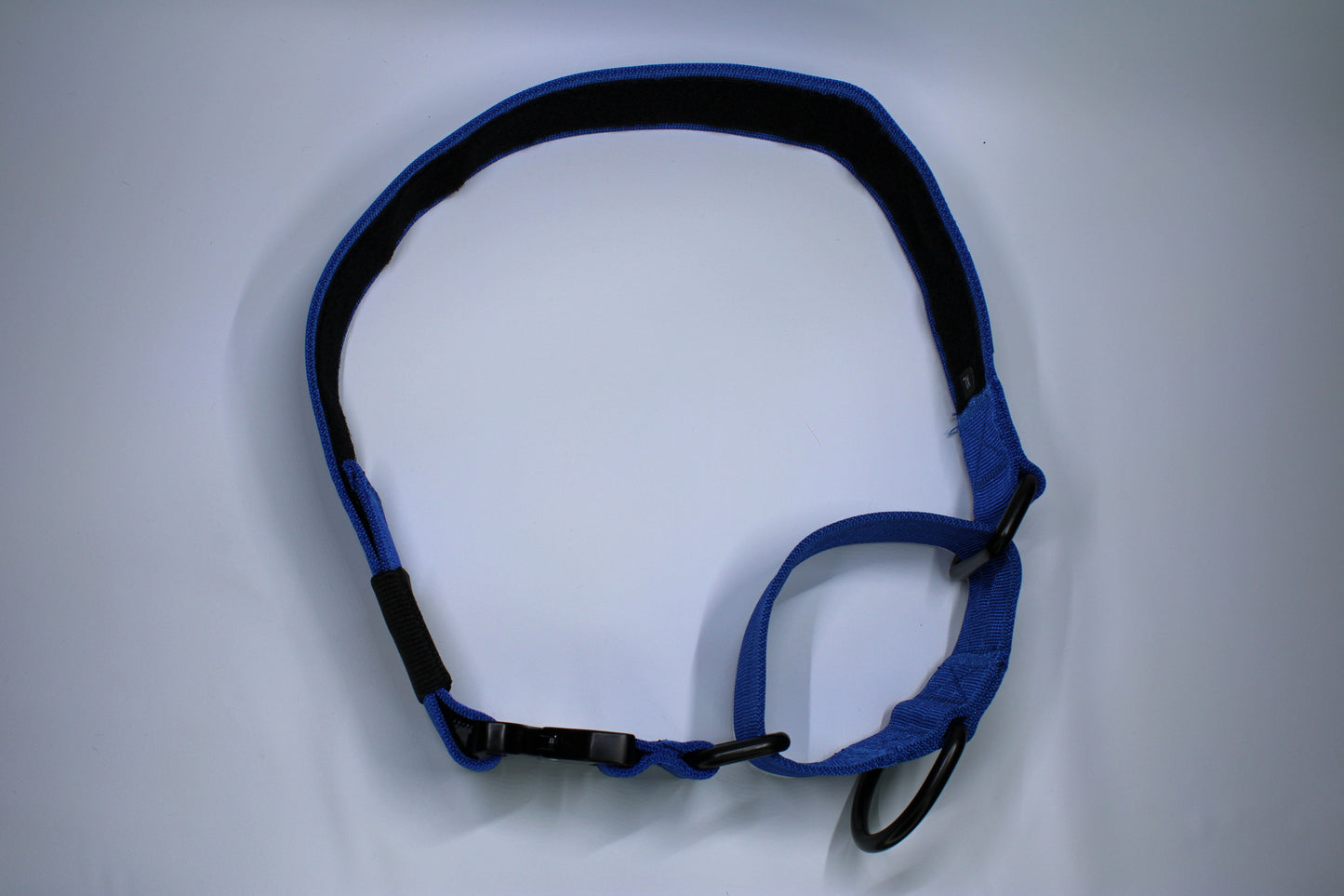 2" Martingale Collar - Blue