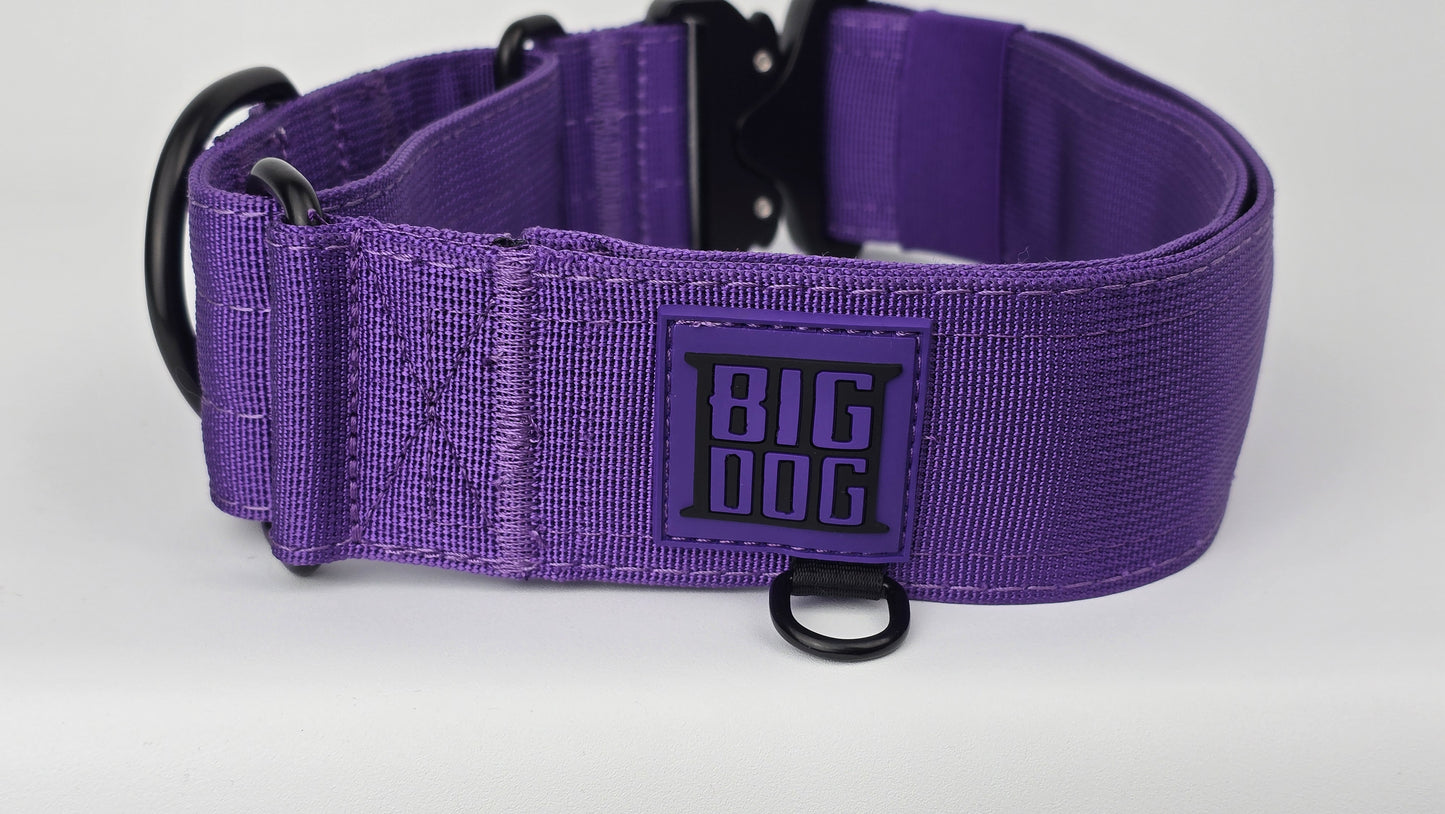 Purple 2 inch heavy duty martingale style dog collar with black hardware with The Big Dog Collar logo.