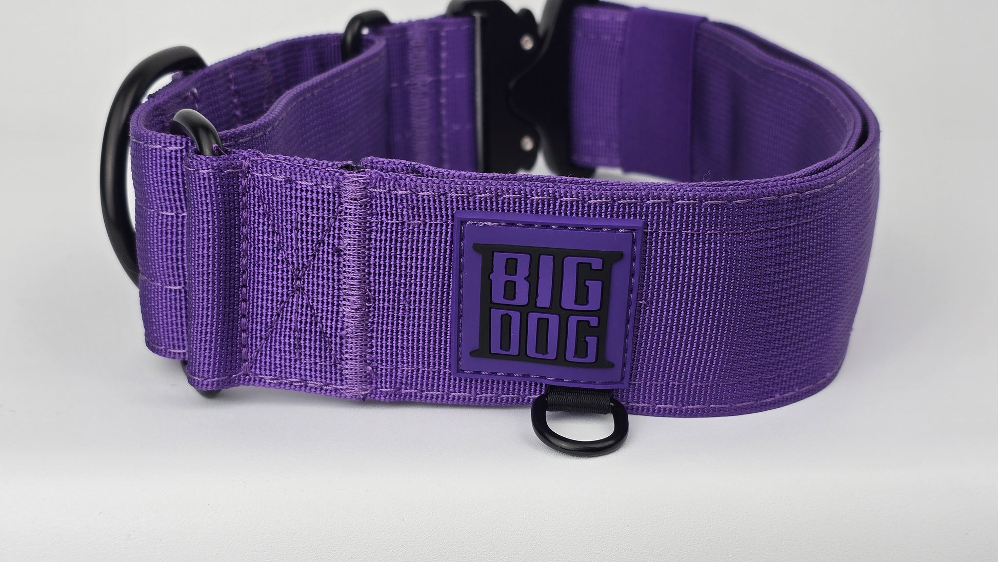 Purple 2 inch heavy duty martingale style dog collar with black hardware with The Big Dog Collar logo.