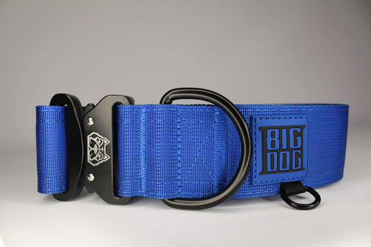 Blue 2 inch heavy duty dog collar with black hardware with The Big Dog Collar logo.