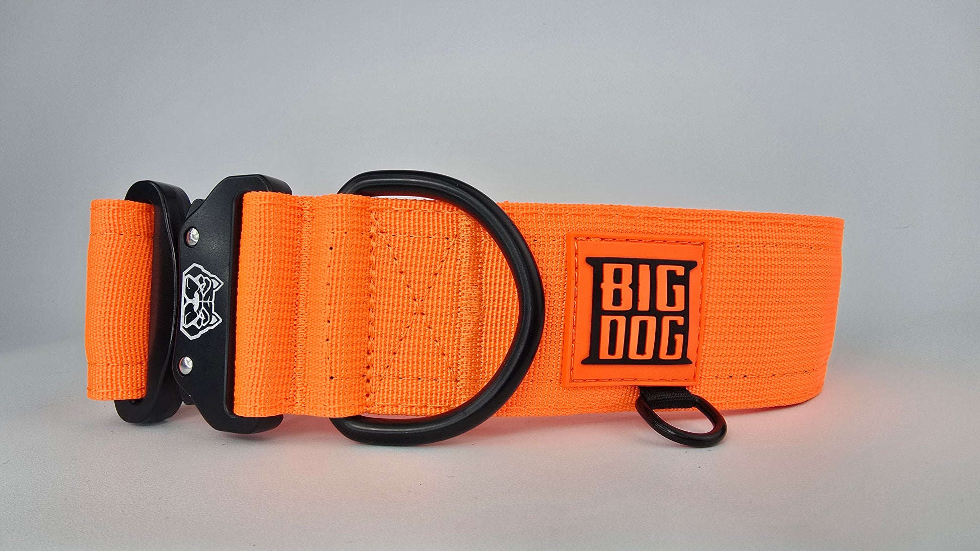 Orange 2 inch heavy duty dog collar with black hardware with The Big Dog Collar logo.