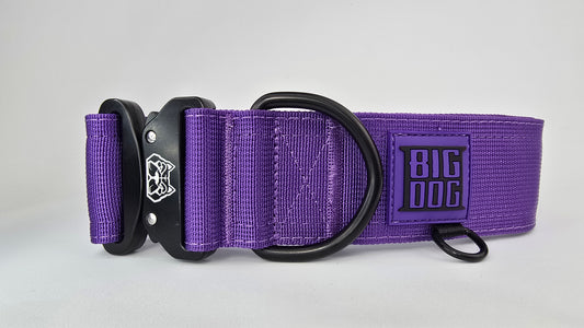 Purple 2 inch heavy duty dog collar with black hardware with The Big Dog Collar logo.
