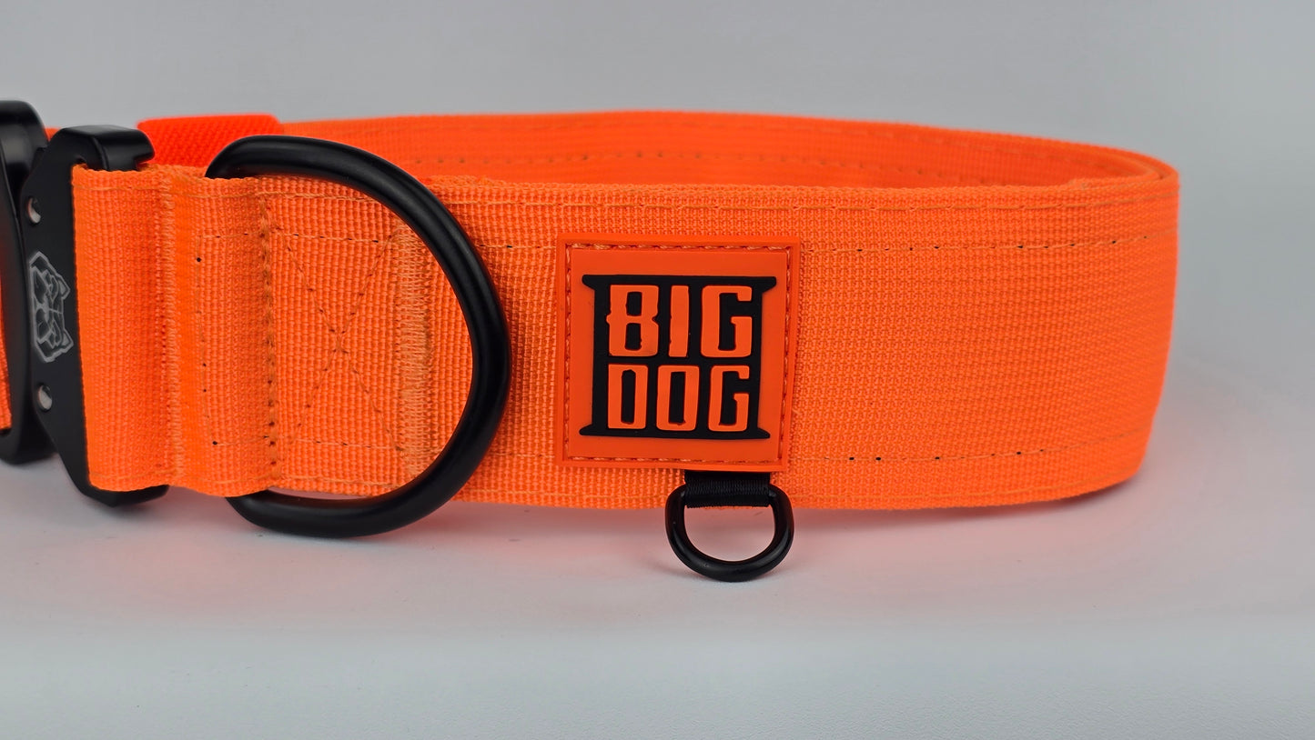 Orange 2 inch heavy duty dog collar with black hardware with The Big Dog Collar logo.
