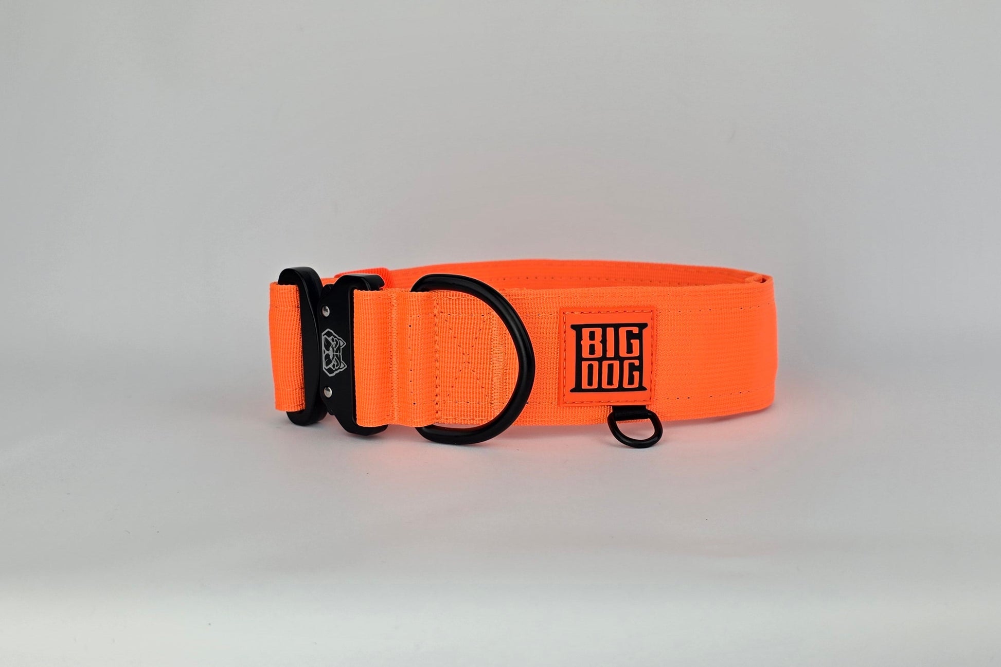 Orange 2 inch heavy duty dog collar with black hardware with The Big Dog Collar logo.