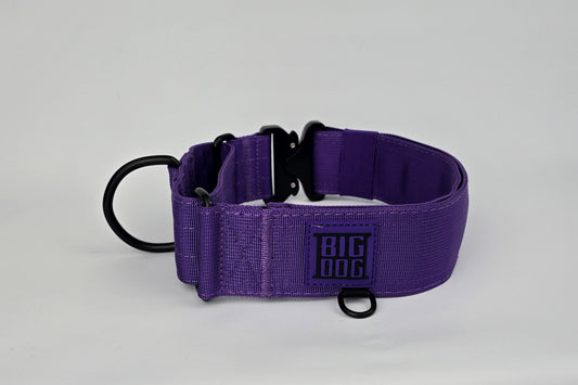 Purple 2 inch heavy duty martingale style dog collar with black hardware with The Big Dog Collar logo.