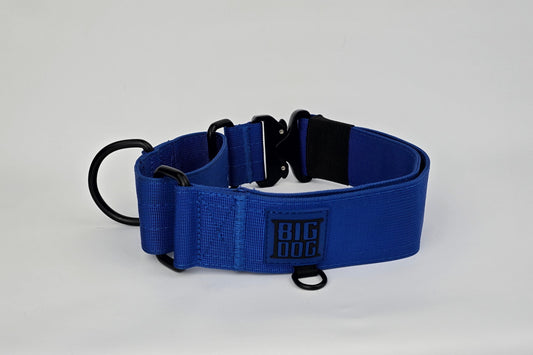 blue 2 inch heavy duty martingale style dog collar with black hardware with The Big Dog Collar logo.