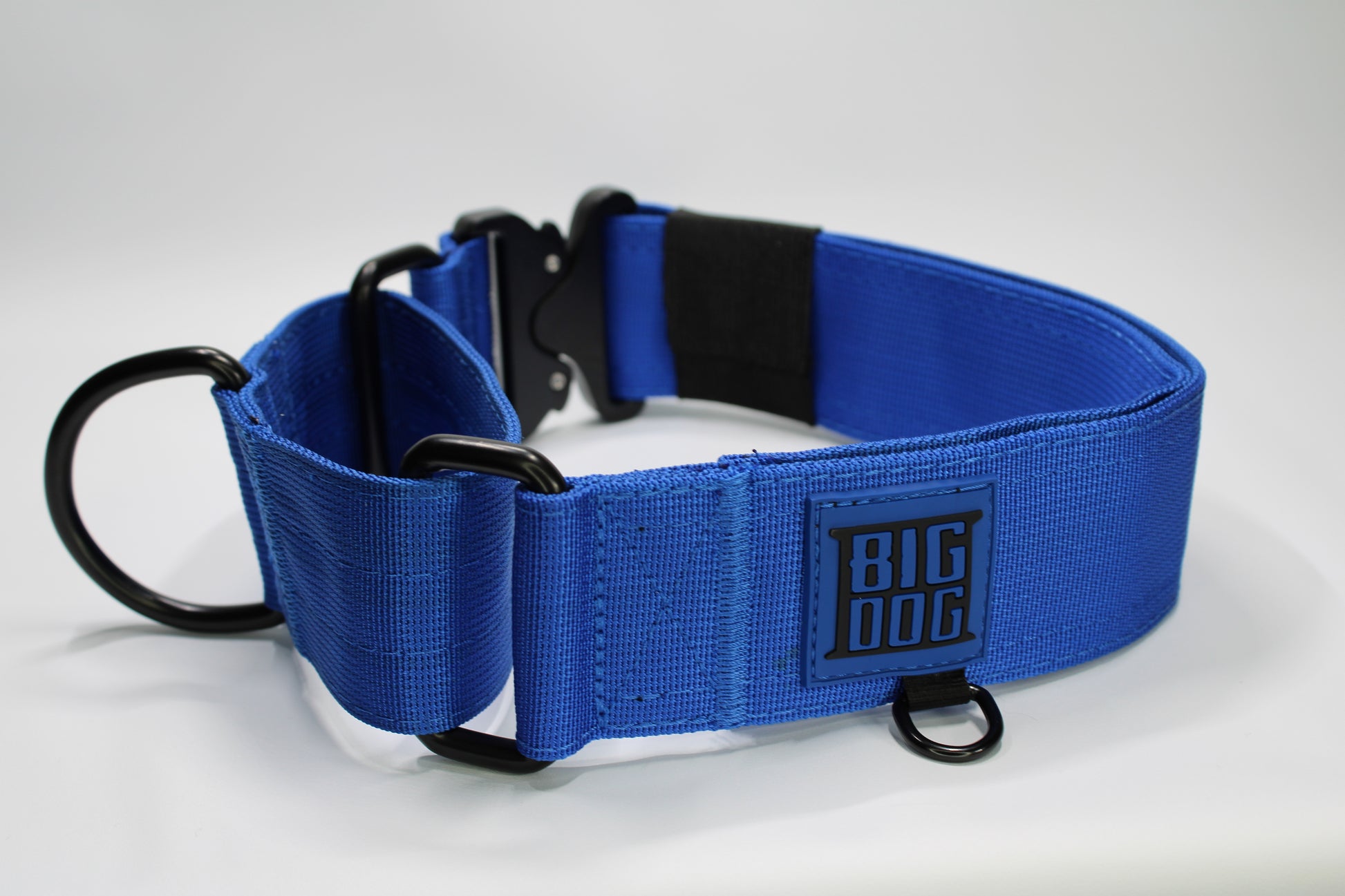 blue 2 inch heavy duty martingale style dog collar with black hardware with The Big Dog Collar logo.